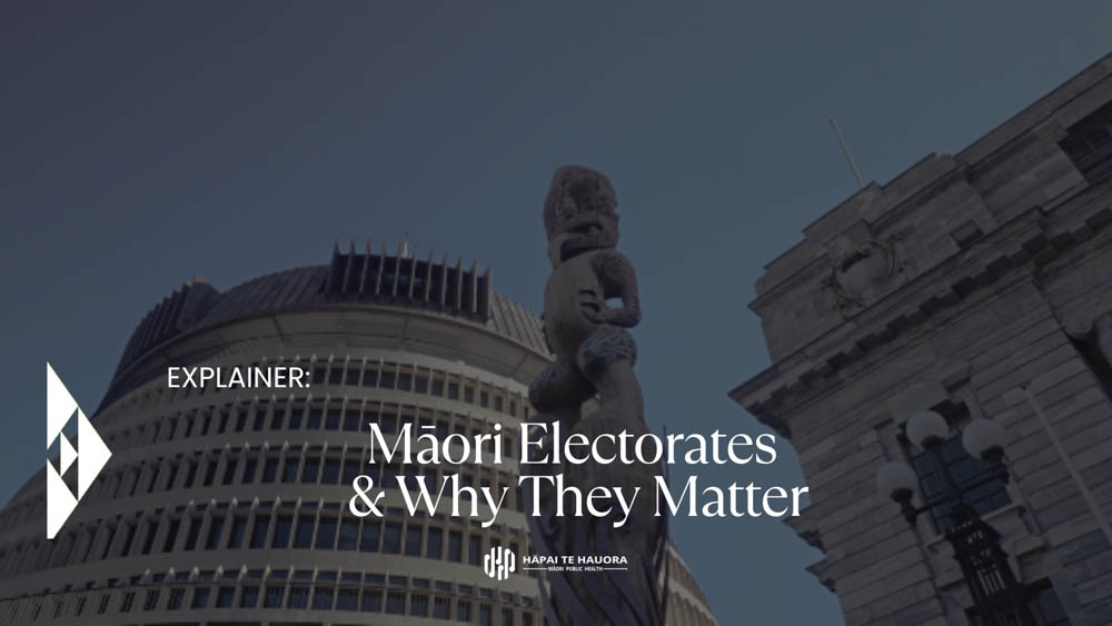 Māori electorates explainer thumbnail