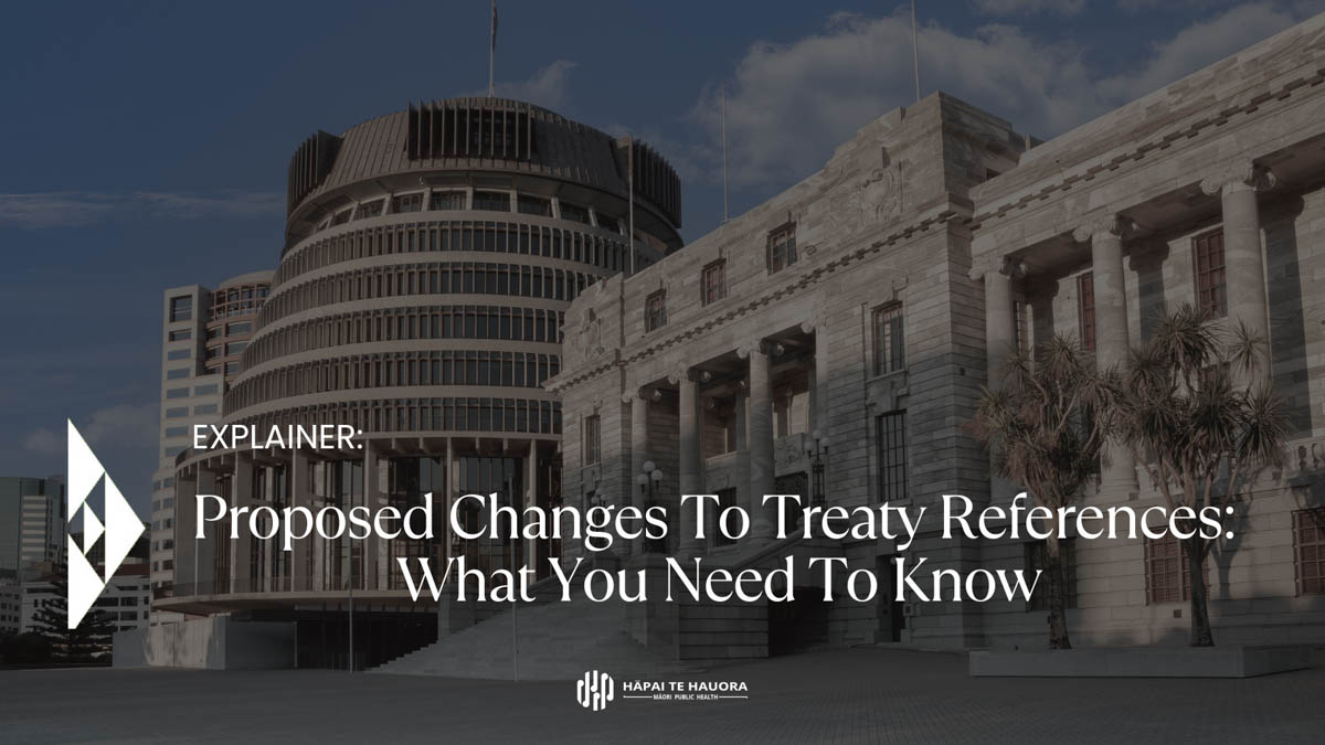 Proposed Changes To Treaty References explainer thumbnail
